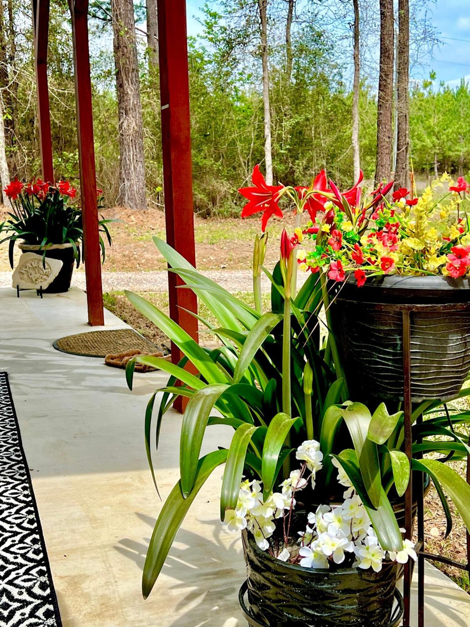 Villa A Tranquil Retreat Loaded With Ambiance! Sleeps 10 Platt Exterior foto